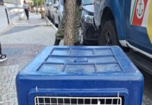 Grupamento Marítimo e Ambiental realiza ações de proteção ambiental e resgates em Cabo Frio Grupamento Marítimo e Ambiental realiza ações de proteção ambiental e resgates em Cabo Frio