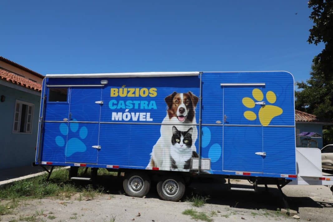 Mais de 200 animais já foram castrados em Búzios; próximo mutirão acontece em Cem Braças