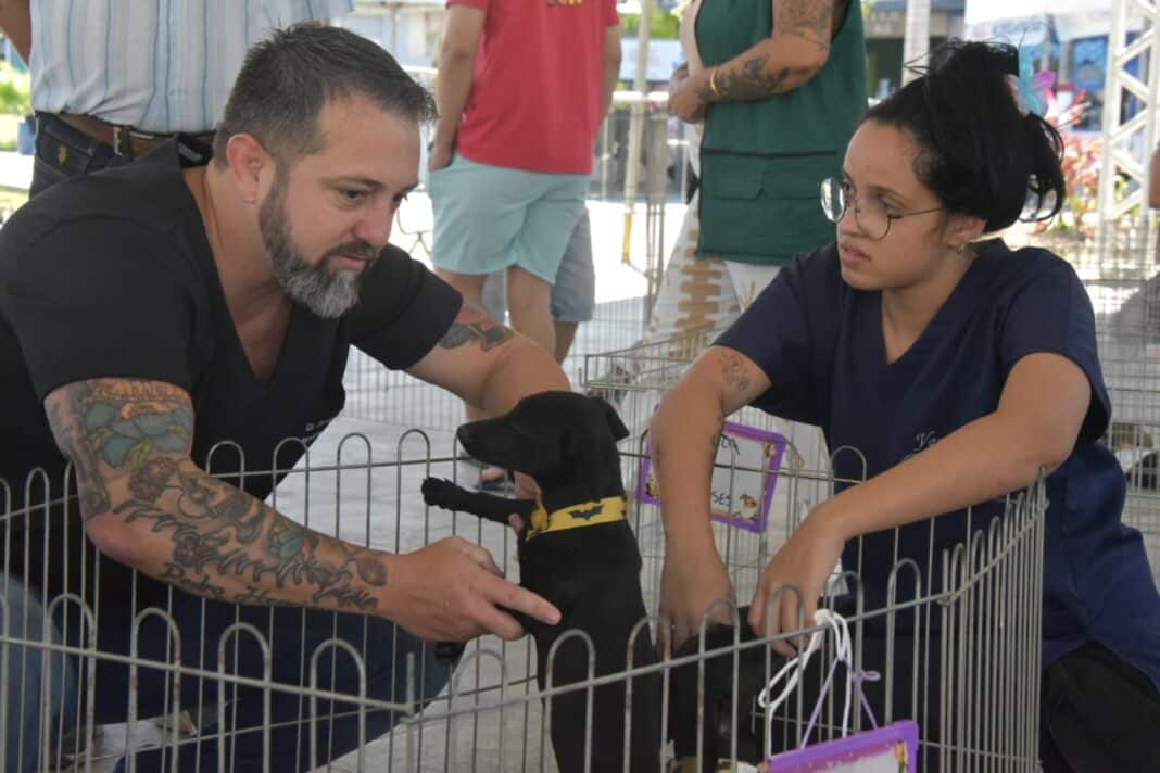 Maricá realiza a 10ª Feira de Adoções em busca de novos lares para animais resgatados