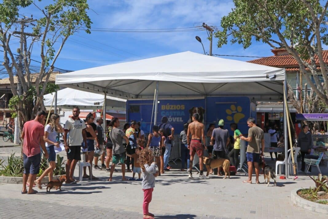 Mutirão com Castra Móvel em Cem Braças registra mais de 100 animais cadastrados