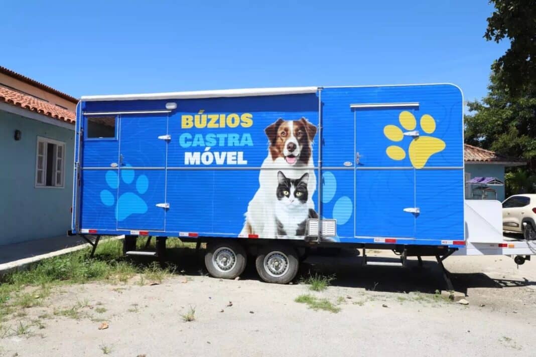 Búzios realiza mutirão de castração gratuita de cães e gatos neste sábado (23)