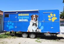Búzios realiza mutirão de castração gratuita de cães e gatos neste sábado (23) Búzios realiza mutirão de castração gratuita de cães e gatos neste sábado (23)