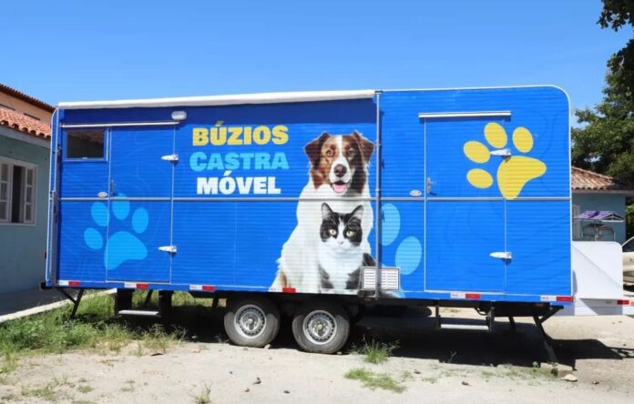 Búzios realiza mutirão de castração gratuita de cães e gatos neste sábado (23)