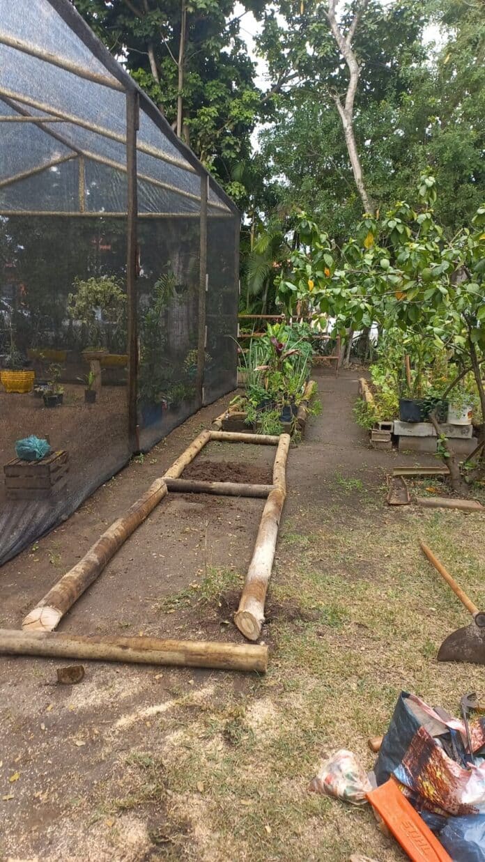 Prefeitura de Cabo Frio inicia produção de mudas de mangue no Horto Municipal