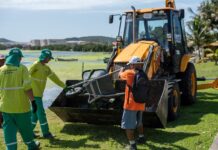 Prefeitura de Cabo Frio realiza retirada de algas mortas na Praia das Palmeiras Prefeitura de Cabo Frio realiza retirada de algas mortas na Praia das Palmeiras