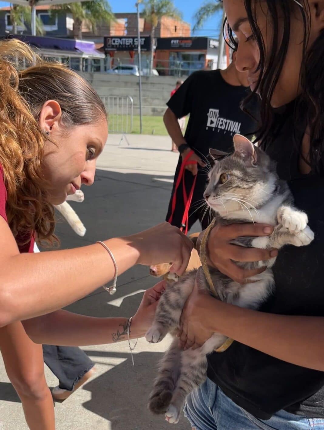 Campanha de vacinação antirrábica imuniza mais de 3 mil animais em Búzios