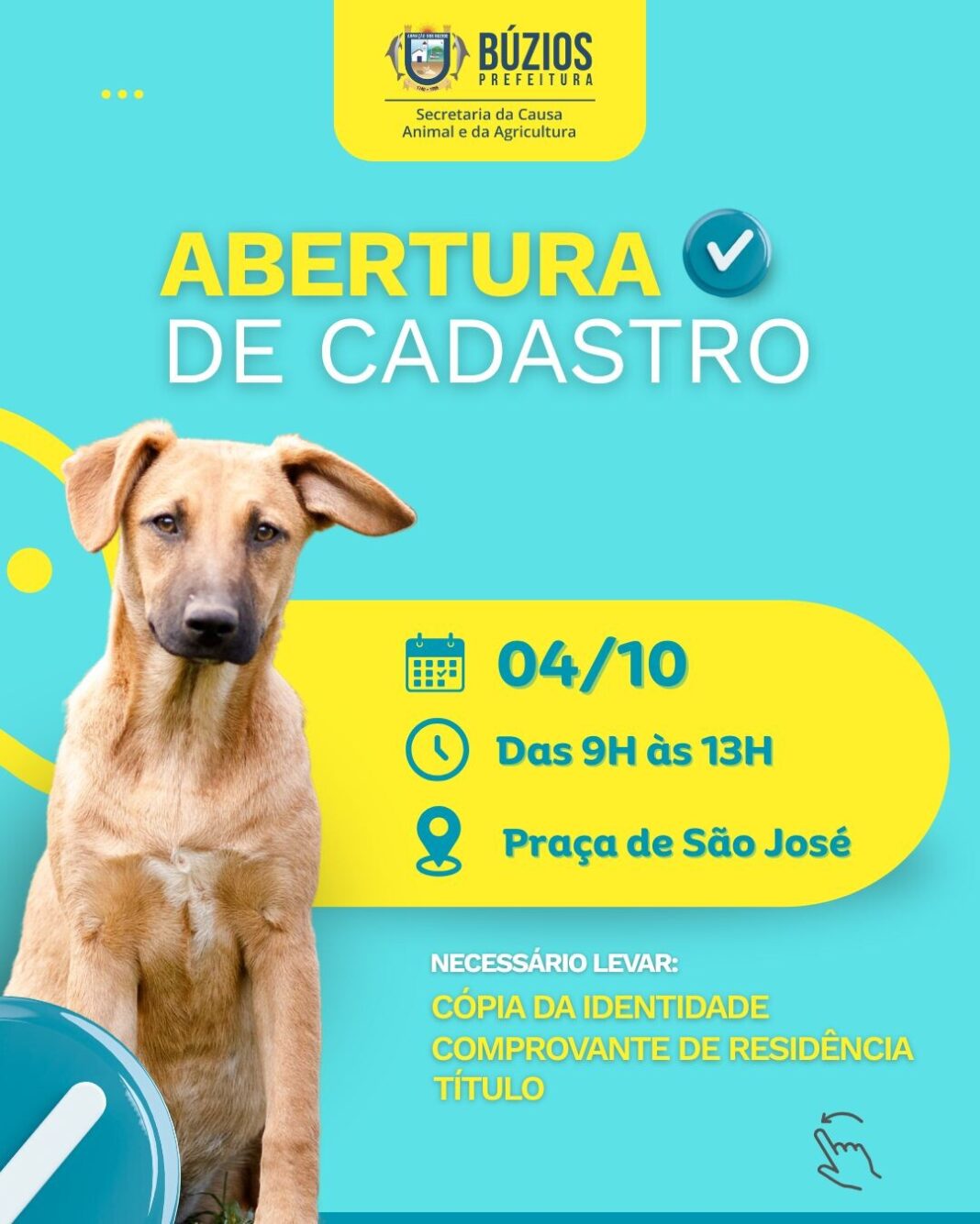 Prefeitura de Búzios realiza cadastro para castração de cães e gatos em São José