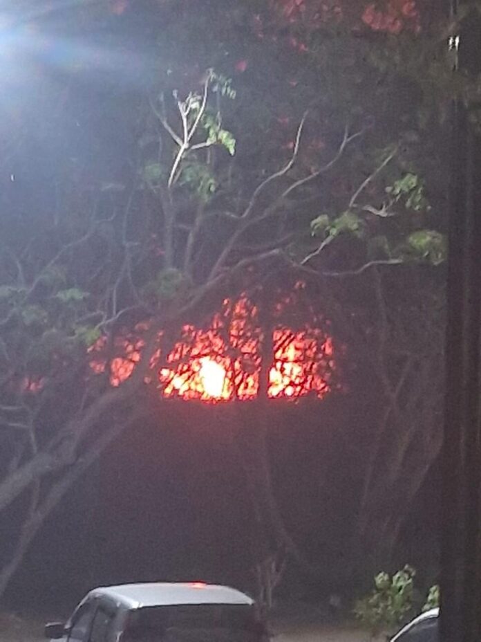 Ação rápida da Defesa Civil e Bombeiros controla incêndio criminoso nas proximidades da Prefeitura de Búzios