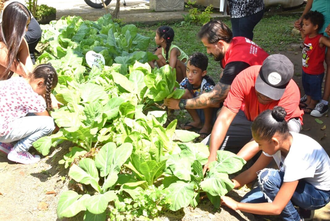 Maricá colhe primeiros frutos de projeto de horta terapêutica