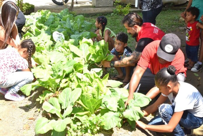 Maricá colhe primeiros frutos de projeto de horta terapêutica