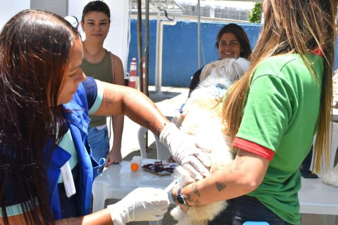 Prefeitura de Maricá inicia vacinação contra raiva nas Unidades de Saúde da Família com atendimentos aos sábados