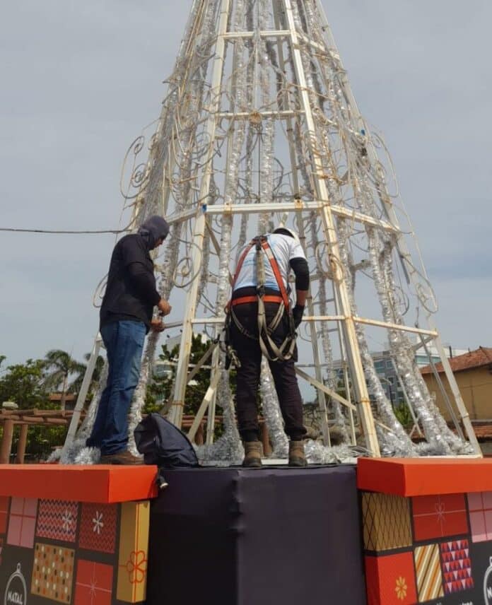 Árvores de Natal passam por manutenção