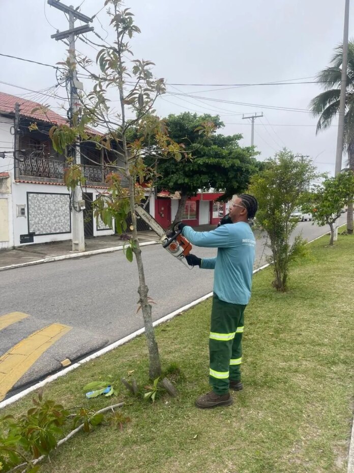 Cabo Frio orienta população sobre solicitação de poda e retirada de árvores