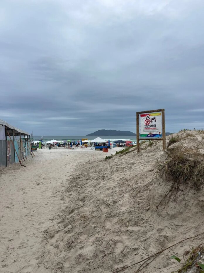 Cabo Frio restaura estruturas de proteção da vegetação na orla das praias