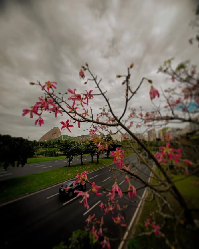 Noite de primeira segunda-feira do ano (05/01) será de chuva fraca no Rio | Veja próximos dias