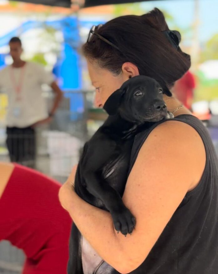 Prefeitura de Maricá realiza primeiro evento de adoção de animais de 2026