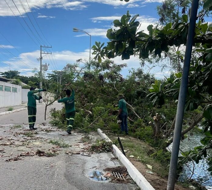 Cabo Frio faz retirada de espécies invasoras no canal Palmer