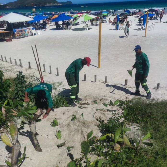 Cabo Frio mantém ações de ordenamento e preservação ambiental nas praias