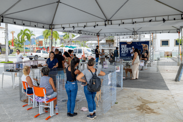 Prefeitura de Maricá promove adoção responsável e cadastro para castração de cães e gatos