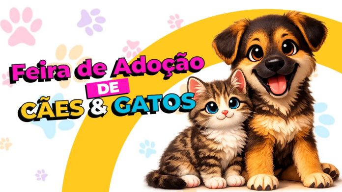 São Pedro da Aldeia recebe feira semanal de adoção de cães e gatos
