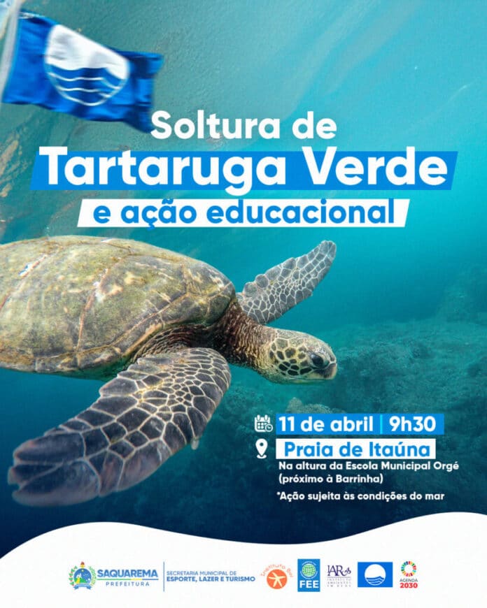 Saquarema promove soltura de tartaruga-verde com ação educativa na Praia de Itaúna