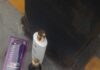 Guarda Civil Municipal conduz mulher à delegacia após denúncia de furto em supermercado de Cabo Frio Guarda Civil Municipal conduz mulher à delegacia após denúncia de furto em supermercado de Cabo Frio