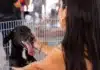 Maricá promove evento gratuito de bem-estar animal neste sábado (20/06)