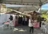 Maricá: Feira da Agricultura Familiar impulsiona economia local e hábitos saudáveis