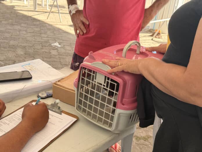 Castramóvel permanece em Tamoios até esta sexta-feira (24) com castração gratuita de cães e gatos
