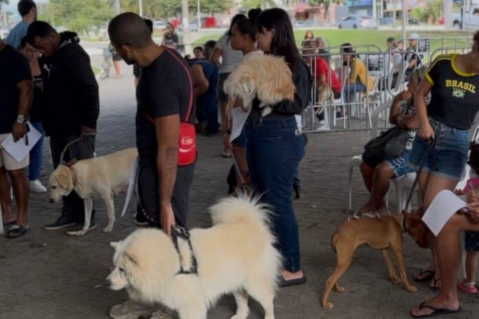 Castramóvel segue com vagas abertas para castração gratuita em Tamoios