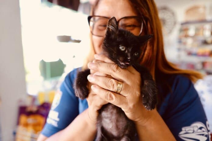 Prefeitura de Cabo Frio promove Feira de Adoção Animal neste sábado (25)