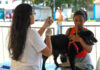 Projeto de castração gratuita para cães e gatos retorna a Cabo Frio Projeto de castração gratuita para cães e gatos retorna a Cabo Frio